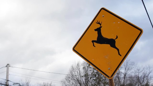 Caution Watch for Deer sign on stormy day