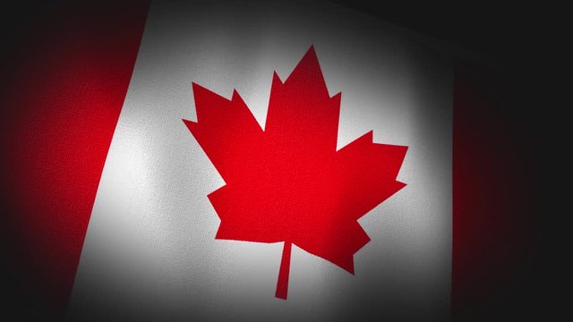 Canada, Canadian, USA, North America   Flag Canvas Texture - 4K 3D Animation 