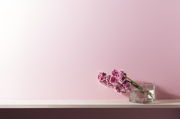 ピンクの壁と棚の室内イメージ