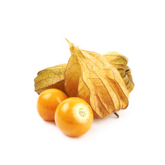 Composition of couple physalis fruits