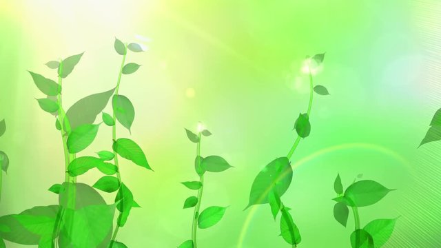 生長する植物イメージ_グリーン背景