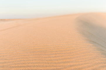 Dune in the desert with yellow sand. Selective focus