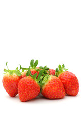 Strawberry isolated on white background
