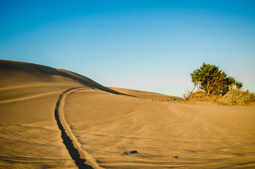 White and yellow sand in the desert with quad bike and car jeep tracks