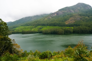 Munnar india landscape