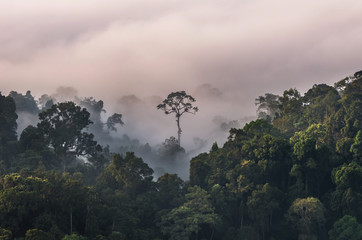 Schöne Landschaft aus Nebel mit Bergkette am Aussichtspunkt PanoenThung im Nationalpark Kaeng Krachan, Thailand