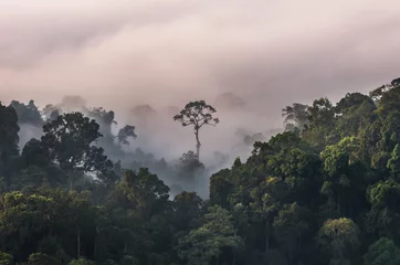 Schöne Landschaft aus Nebel mit Bergkette am Aussichtspunkt PanoenThung im Nationalpark Kaeng Krachan, Thailand © THANANIT