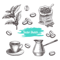 Vector coffee hand drawn sketch .  Sketch vector  food illustration. Vintage style
