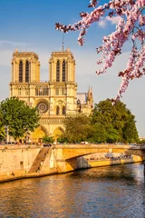 Fototapete Rund Notre Dame de Paris at spring, Paris, France © sborisov