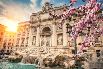 Naklejka premium Fountain di Trevi in Rome, Italy