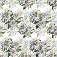 Seamless pattern of watercolor asters on a color or textural background