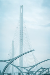 view through the fog. Modern cable-stayed bridge in Russia vertical photo