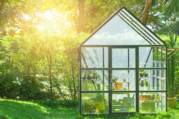 green house in the home garden, planting cactus nursery. - obrazy, fototapety, plakaty