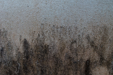 Dirty cement texture