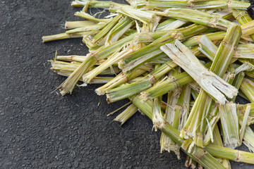 Sugarcane bagasse, nature fiber recycle for biofuel pulp and building materials.