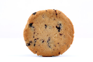blueberry cookies with blueberry, berry cookies, cookies
