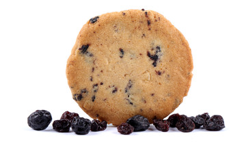 blueberry cookies with blueberry, berry cookies, cookies