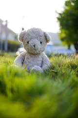 background, bear, beautiful, brown, childhood, color, concept, cute, garden, grass, green, happy, holiday, natural, nature, one, outdoor, relax, sitting, teddy, toy, tree	
