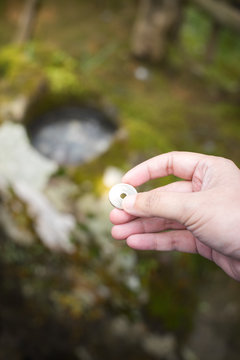 Japanese Coin Throwing To Wishing Well