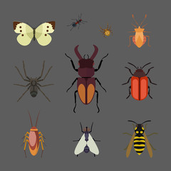 Insect icon flat isolated nature flying butterfly beetle ant and wildlife spider grasshopper or mosquito cockroach animal biology graphic vector illustration.