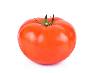 Tomatoes on white background