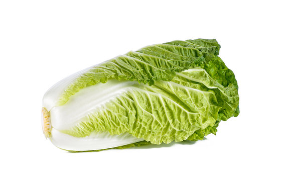 Fresh Napa Cabbage On White Background