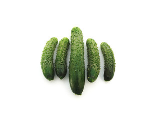 cucumber isolated