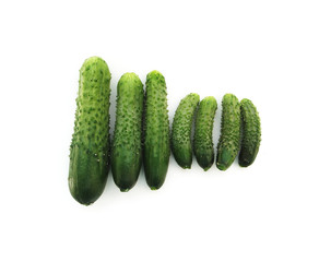 cucumber isolated