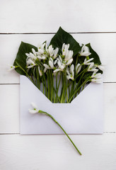 on a wooden table an envelope with snowdrops