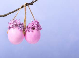  Lilac flowers (Syringa) in  eggs shell.    Easter decor