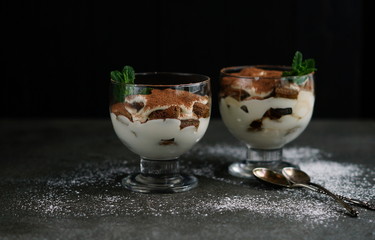 A classic Italian tiramisu on a dark background 