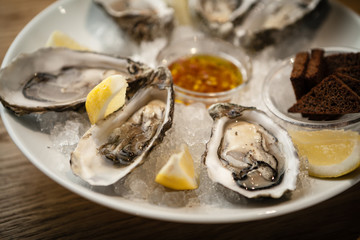 Oysters on a plate