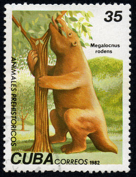 UKRAINE - CIRCA 2017: A stamp printed in Cuba, shows a extinct animal Megalocnus rodens, the series Prehistoric animals, circa 1982