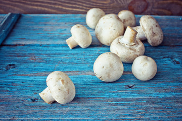 Fresh mushrooms, young untreated champignon on a blue wooden background