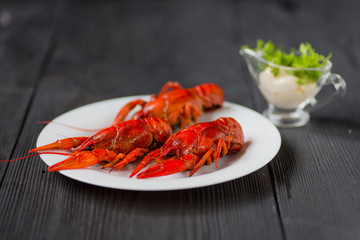 Three red crayfishes on white plate with sause