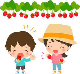 いちご狩りを楽しむ親子