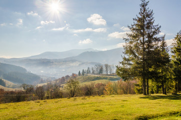 Fototapeta premium Autumn landscape, trees with colorful leaves, frost on green grass, autumn mountain in fog in the background.