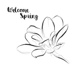 Welcome spring. Greeting card with a flower on a white background.