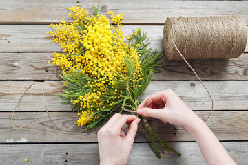 Woman hands make bouquet of mimosa. bandages twine and Gardening scissors on rustic wooden table © malkovkosta