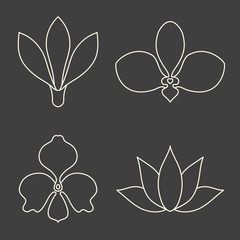Set of flower line art vector on dark grey background