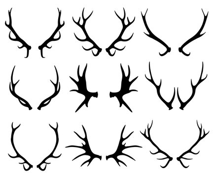 Antlers, deer and reindeer horns vector silhouettes isolated on white
