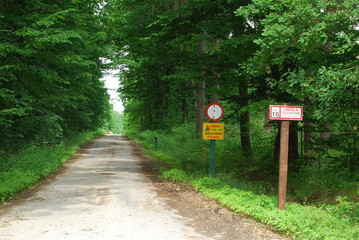 Wzniesienia Urzedowskie, Rezerwat Jodly - Natalin.