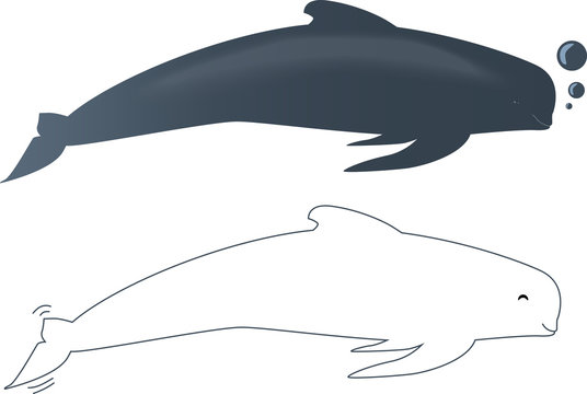 New Zealand "Pilot Whale" vector illustrator.