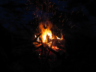 Bonfire campfire in night forest