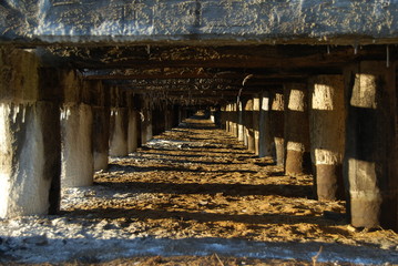 Ciechocinek, Teznie.