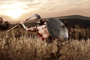Strong Spartan warrior in battle dress with a shield and a spear - obrazy, fototapety, plakaty