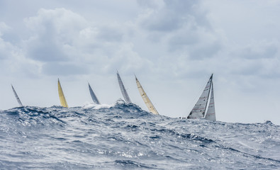 The group of sailing boats with big wave. We can see only sails.