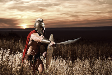 Fearless young Spartan warrior posing in the field 