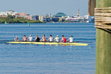 Rowers practicing on the channel in the Port of Tampa