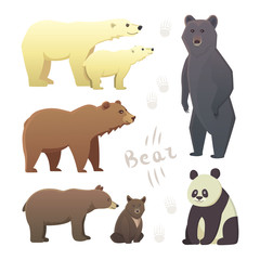 Collection with different cartoon bears isolated on white background. Vector broun and black american bear. Set Wildlife or zoo grizzly. panda.